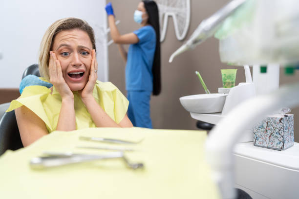 Best Emergency X-Rays and Diagnostics in Newington Forest, VA